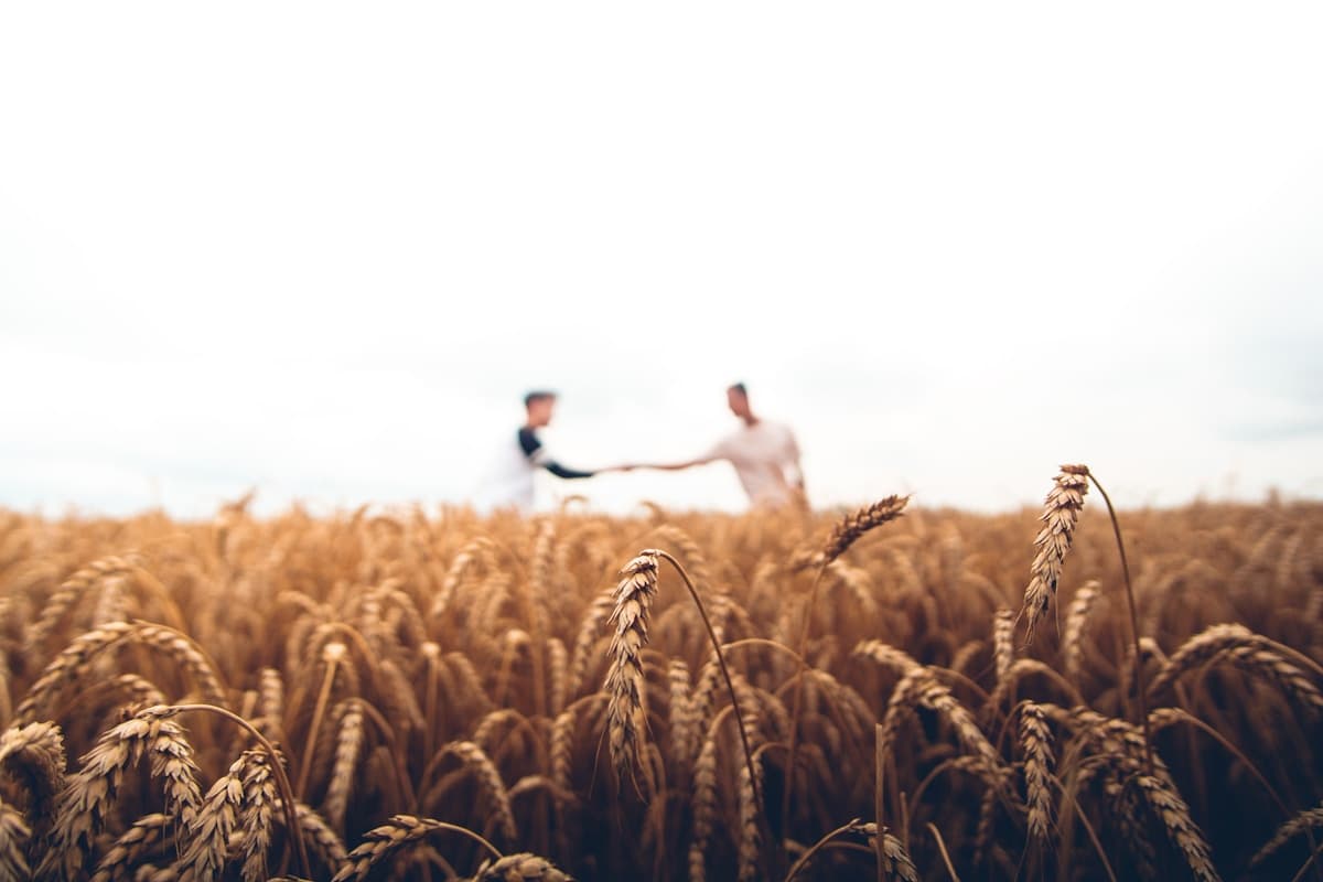 Comércio agropecuário digital para comprar, vender, trocar e doar.